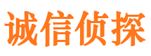 西陵侦探公司